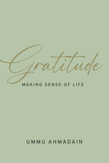 gratitude-making-sense-of-life