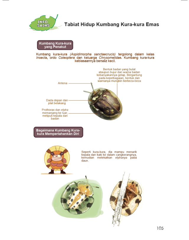 The Insects Academy: Disebalik Identiti Tujuh Kumbang Kecil - Buku - PTS