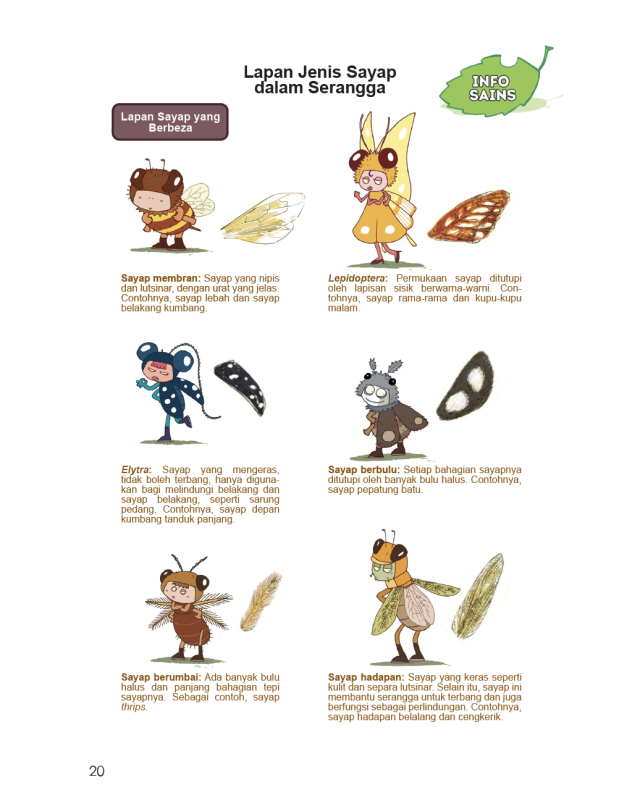 The Insects Academy: Kejohanan Bermula: Kelas Kumbang Beraksi! - Buku - PTS